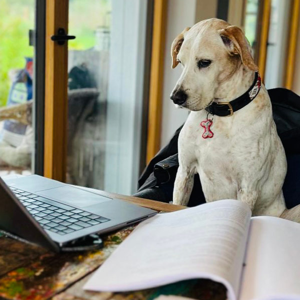 Online-Verhaltenssprechstunde