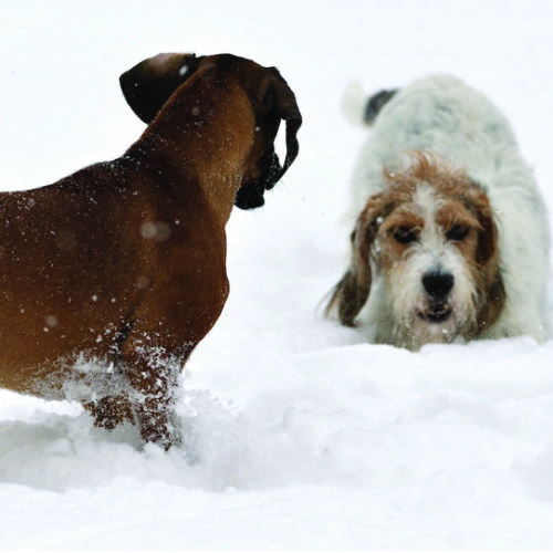 Workshop Ready-Steady-Stay