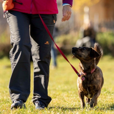 Workshop Ready-Steady-Stay