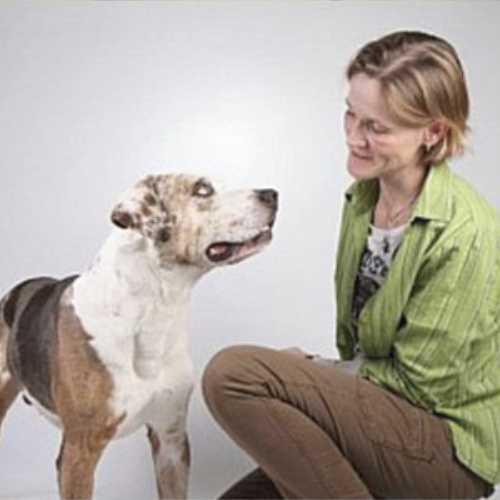 Anke Boysen Anke Boysen