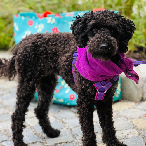 Passen wir zusammen? Passen wir zusammen?