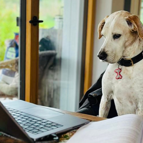 Online Verhaltenssprechstunde Online Verhaltenssprechstunde