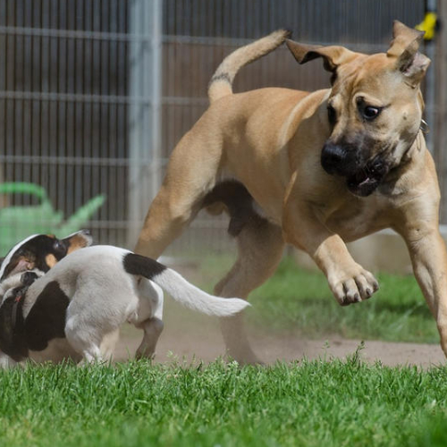 Workshop Blickschulung