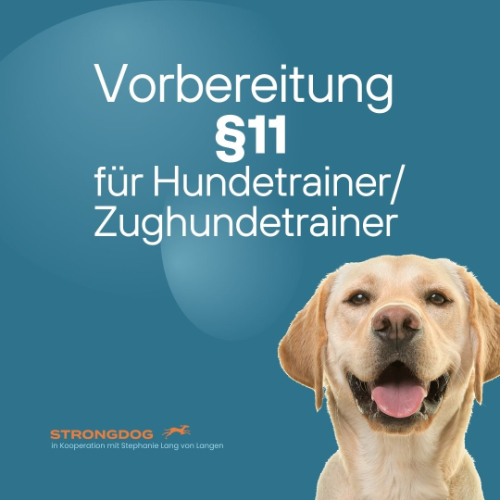 Strongdog Prüfungsvorbereitung
