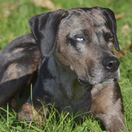 Intensivwoche Intensivwoche