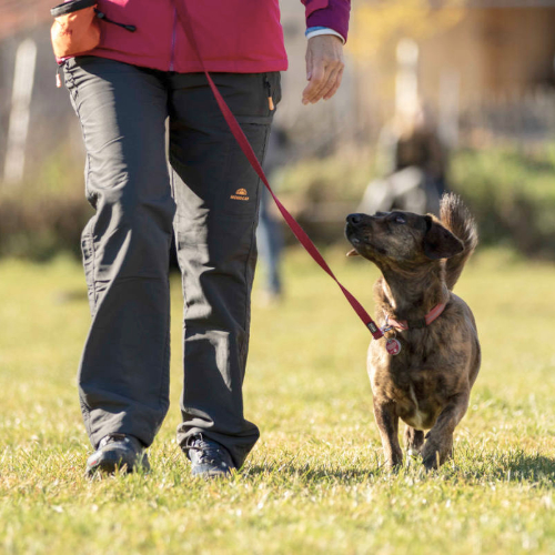 Workshop Rückruf aber sicher