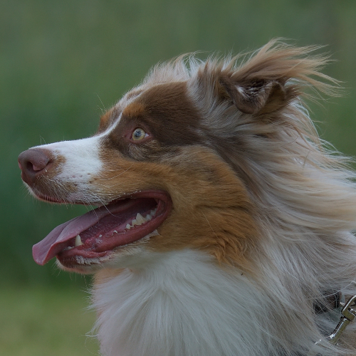 Einzeltraining Einzeltraining