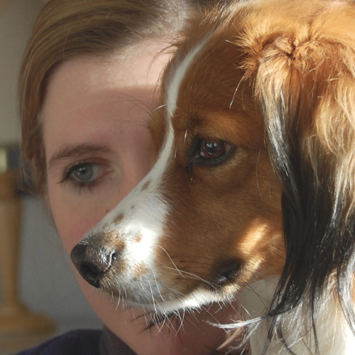 Ausbildung zum/zur Therapiehundeteam