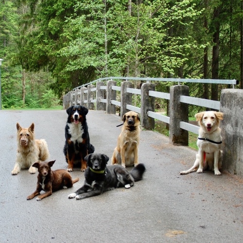 Trainingscamp Trainingscamp