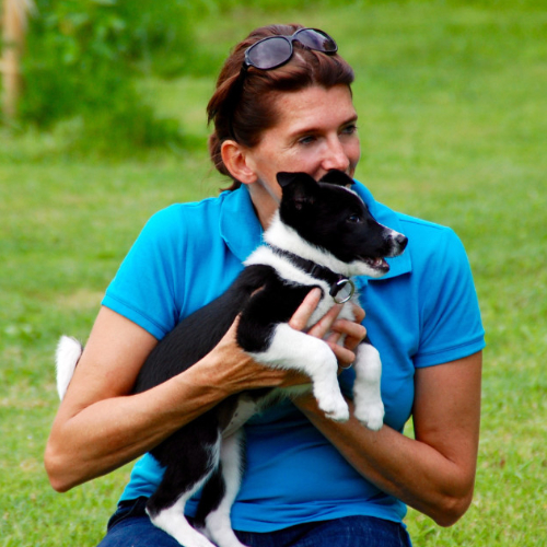 Welpensprechstunde Online Verhaltenssprechstunde