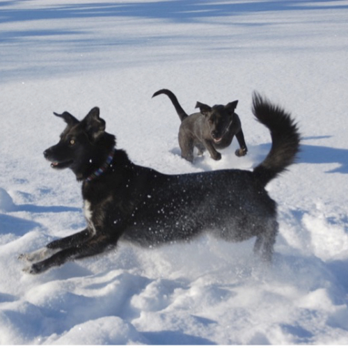 Wintercamp Wintercamp