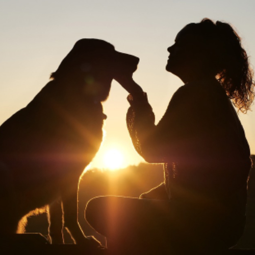 Workshop Nonverbale Kommunikation