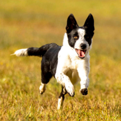 Workshop Rückruf, aber sicher! Workshop Rückruf, aber sicher!