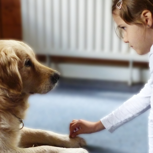 Stephanie Lang von Langen