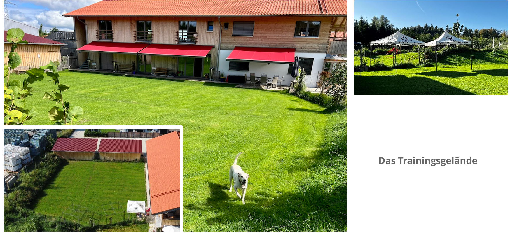 Rundgang im Hundekompetenz- und Ausbildungszentrum Stephanie Lang von Langen Rundgang im Hundekompetenz- und Ausbildungszentrum Stephanie Lang von Langen