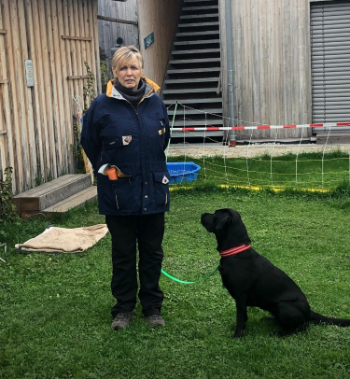 Feedback zur Ausbildung zum/r Hundetrainer*in von Gertraud mit Amy